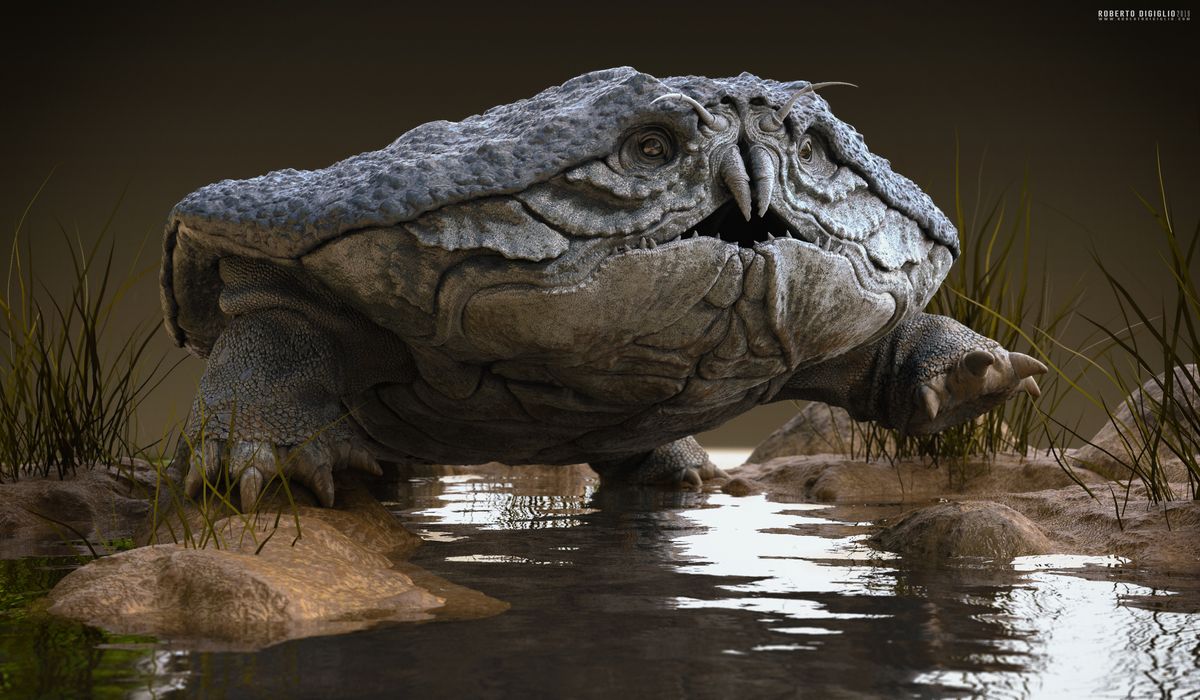 Cancericatus Fluvialitis — an imaginary river crustacean, creature design by Roberto Digiglio — final render