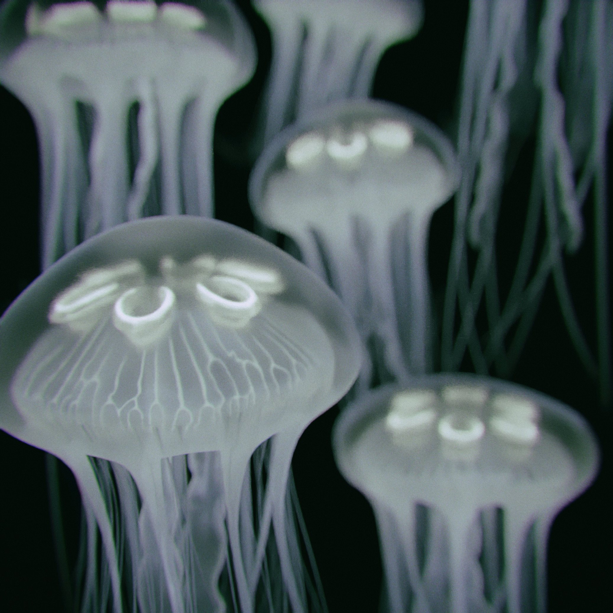 Ghost of the Sea — image 9: an invented bioluminescent jellyfish, creature design by Roberto Digiglio