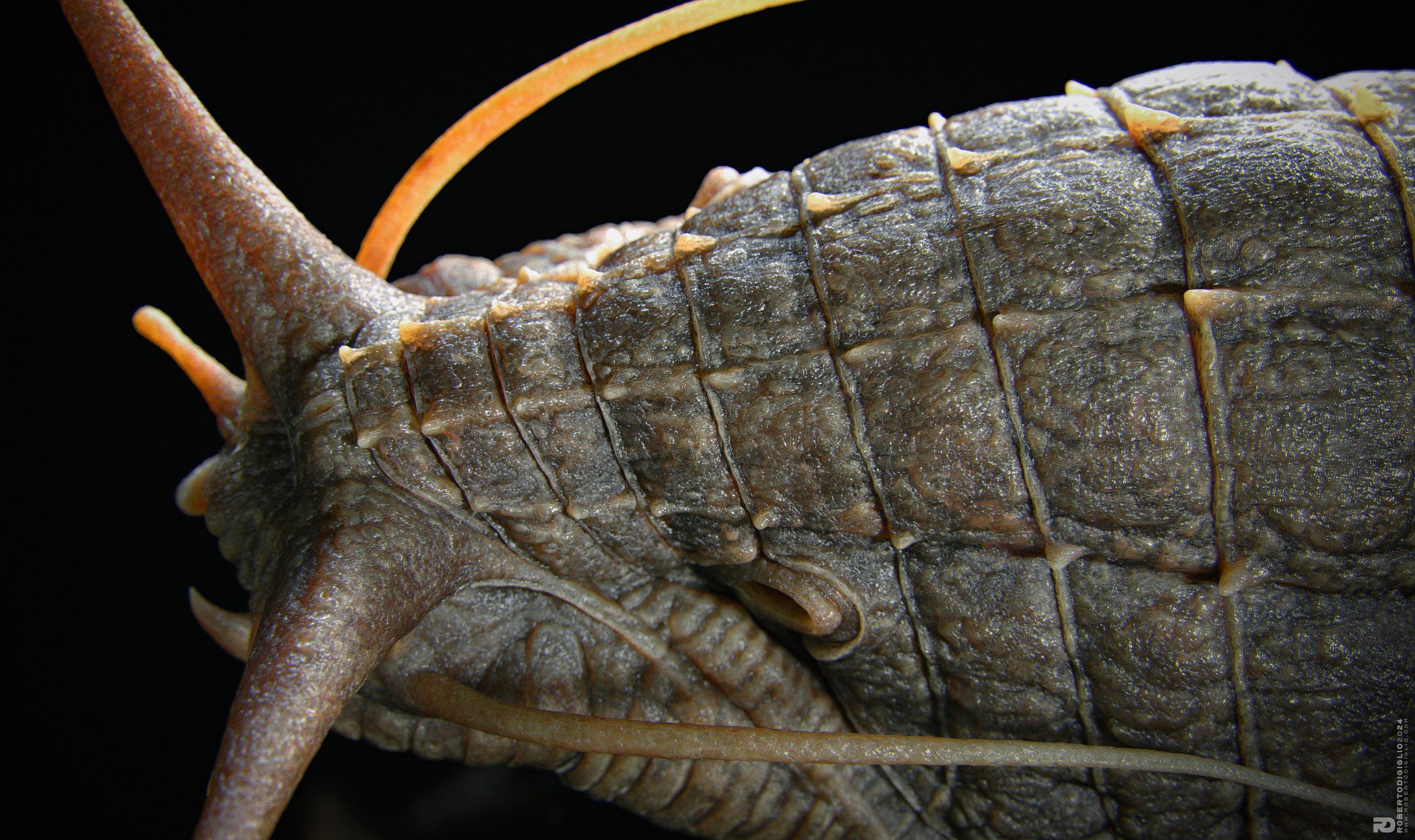 Limax Magnodentis — image 6: a carnivorous dog-sized slug with an armored mantle, creature design by Roberto Digiglio