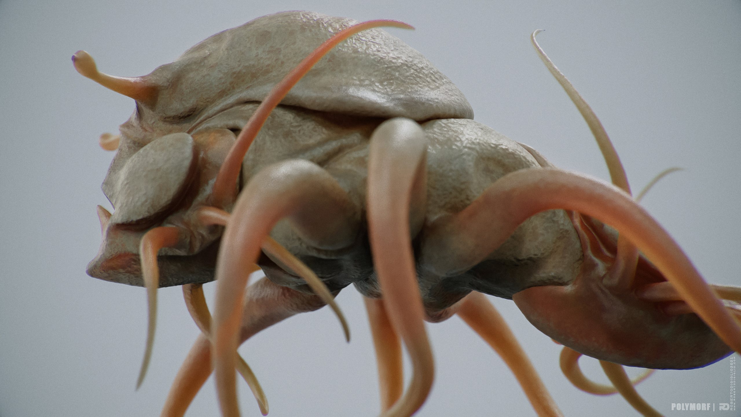 Symbiosis — Multibody Creature — image 3: a creature made of three autonomous organisms, for the SYMBIOSIS VR performance, creature design by Roberto Digiglio