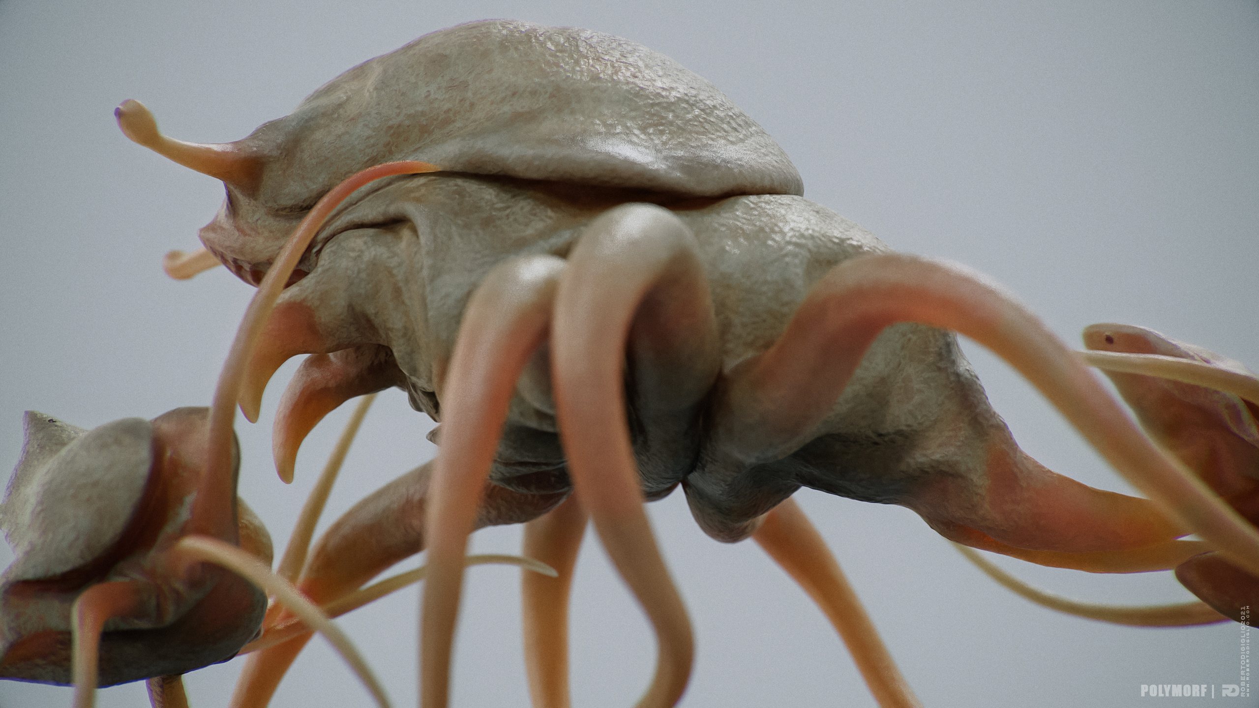 Symbiosis — Multibody Creature — image 4: a creature made of three autonomous organisms, for the SYMBIOSIS VR performance, creature design by Roberto Digiglio