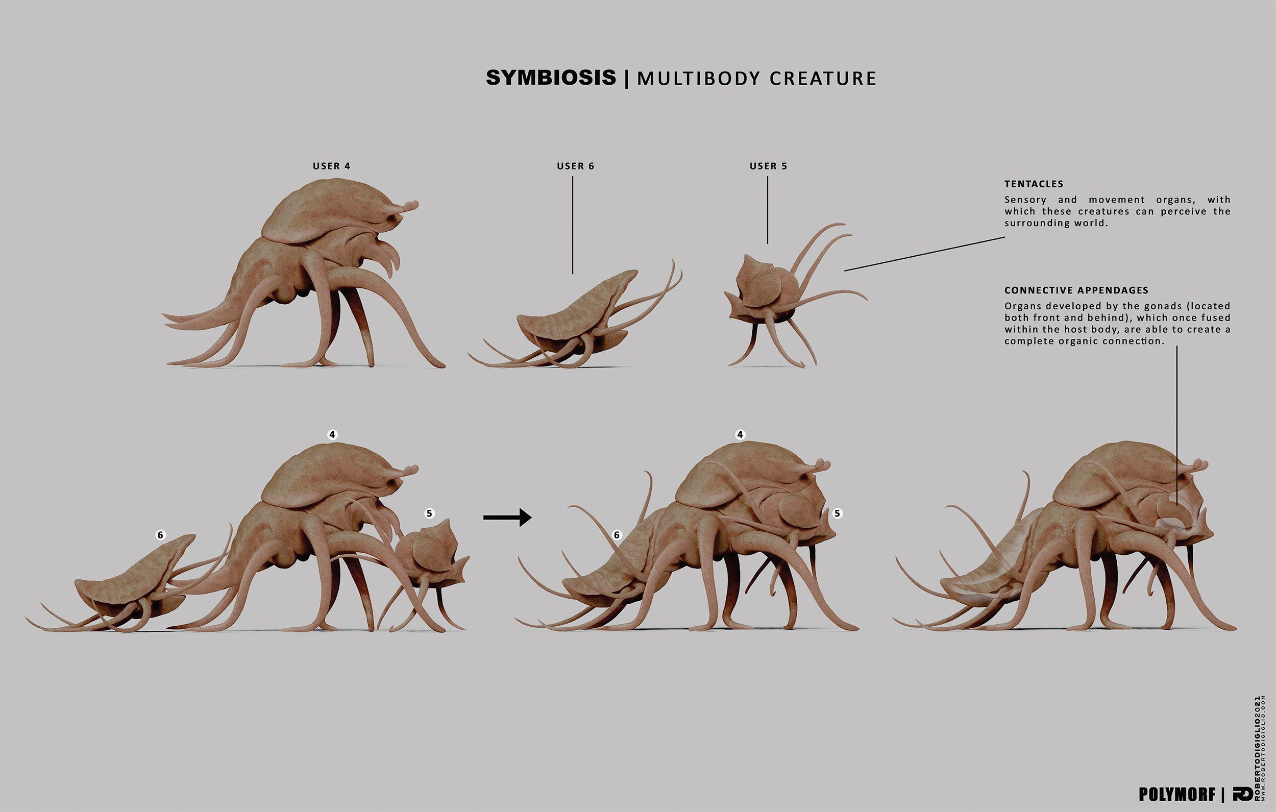 Symbiosis — Multibody Creature — Design sheet: a creature made of three autonomous organisms, for the SYMBIOSIS VR performance, creature design by Roberto Digiglio