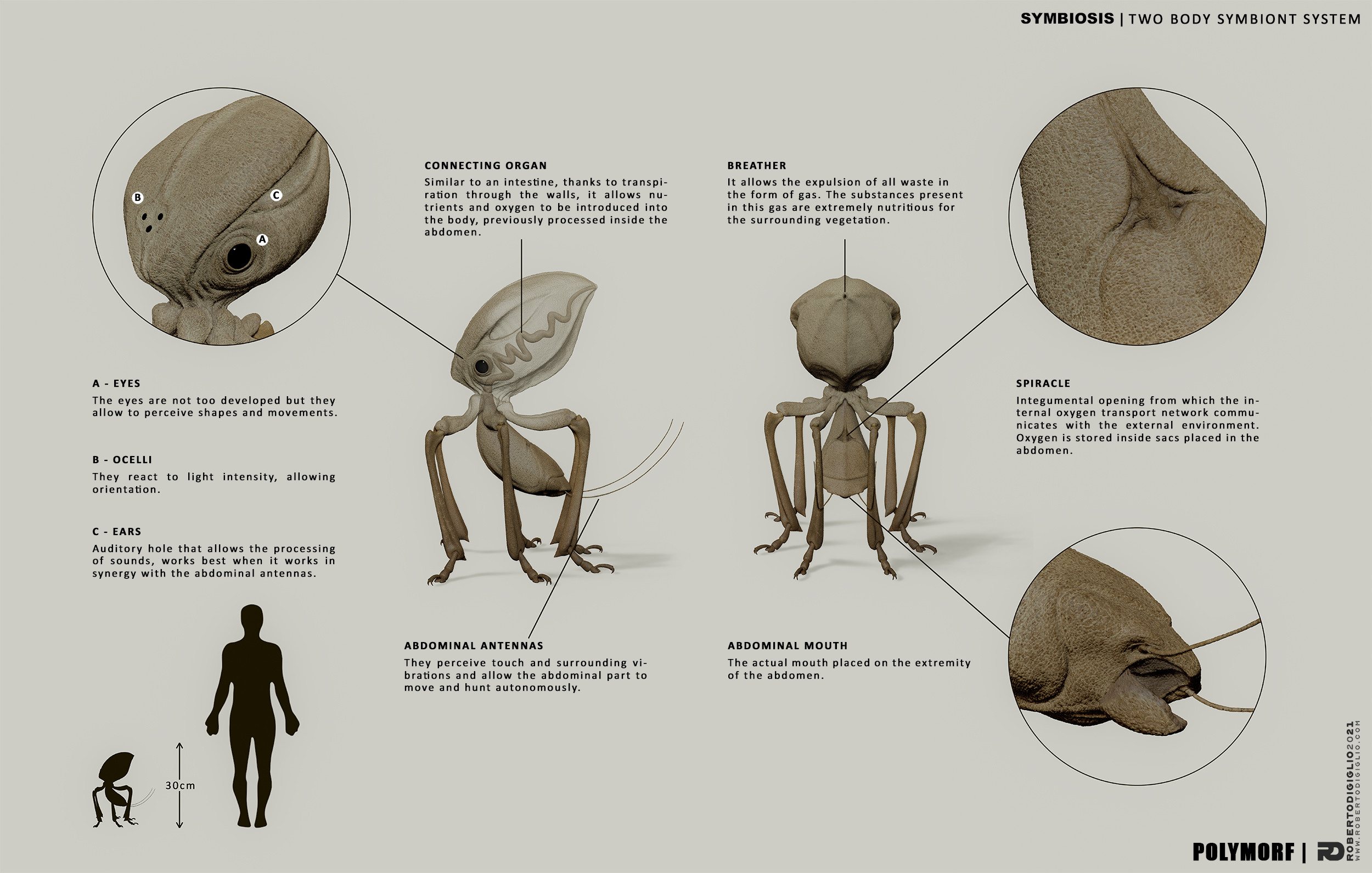 Symbiosis — Two-Body Symbiont System — Design sheet 5: a two-body symbiont creature for the SYMBIOSIS VR performance, creature design by Roberto Digiglio