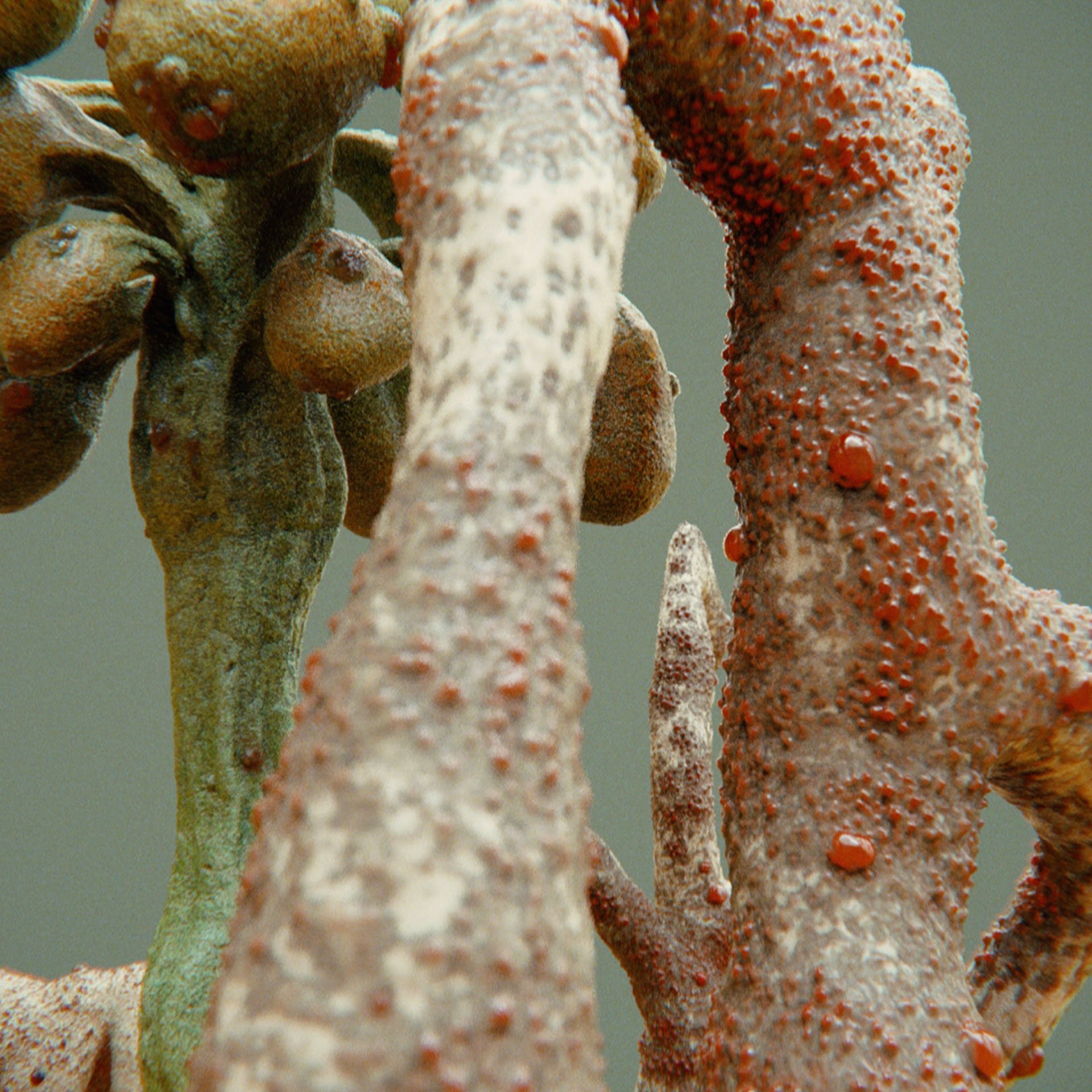 SYMBIOSIS — Flora — trees, composition 1: the world of the SYMBIOSIS VR performance: creatures, characters and flora, character design by Roberto Digiglio