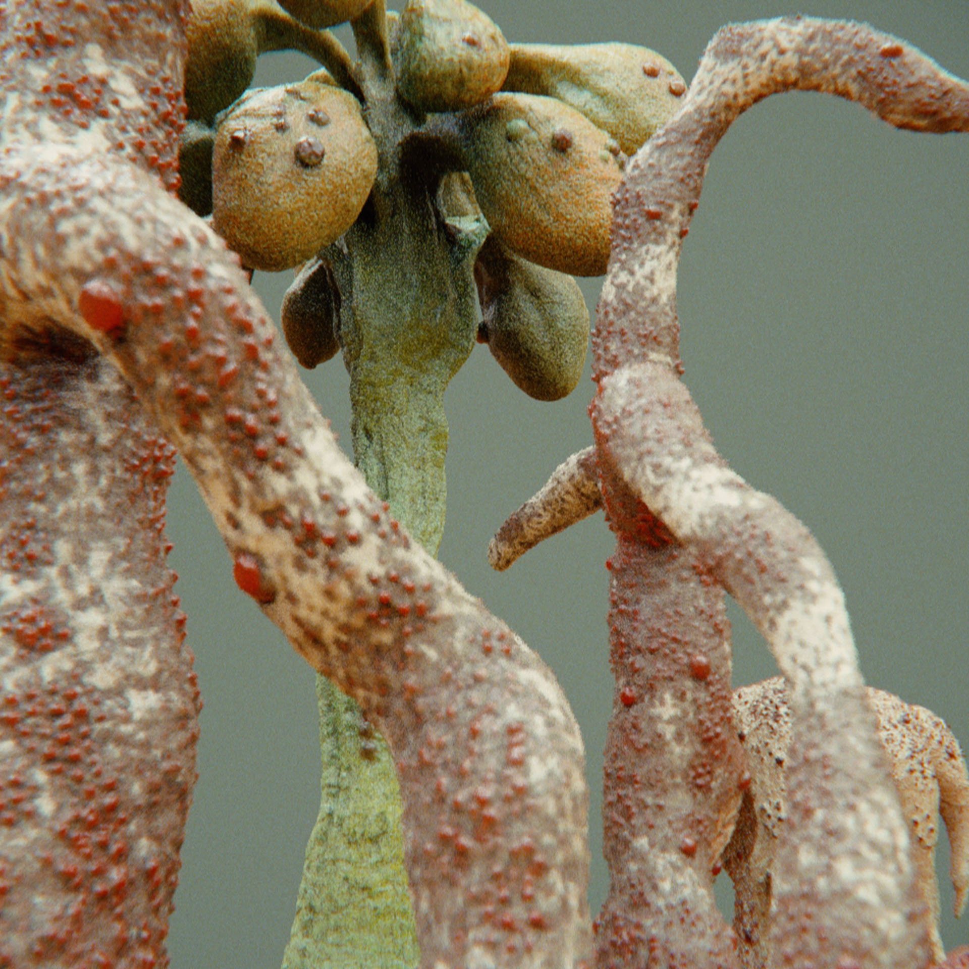 SYMBIOSIS — Flora — trees, composition 2: the world of the SYMBIOSIS VR performance: creatures, characters and flora, character design by Roberto Digiglio