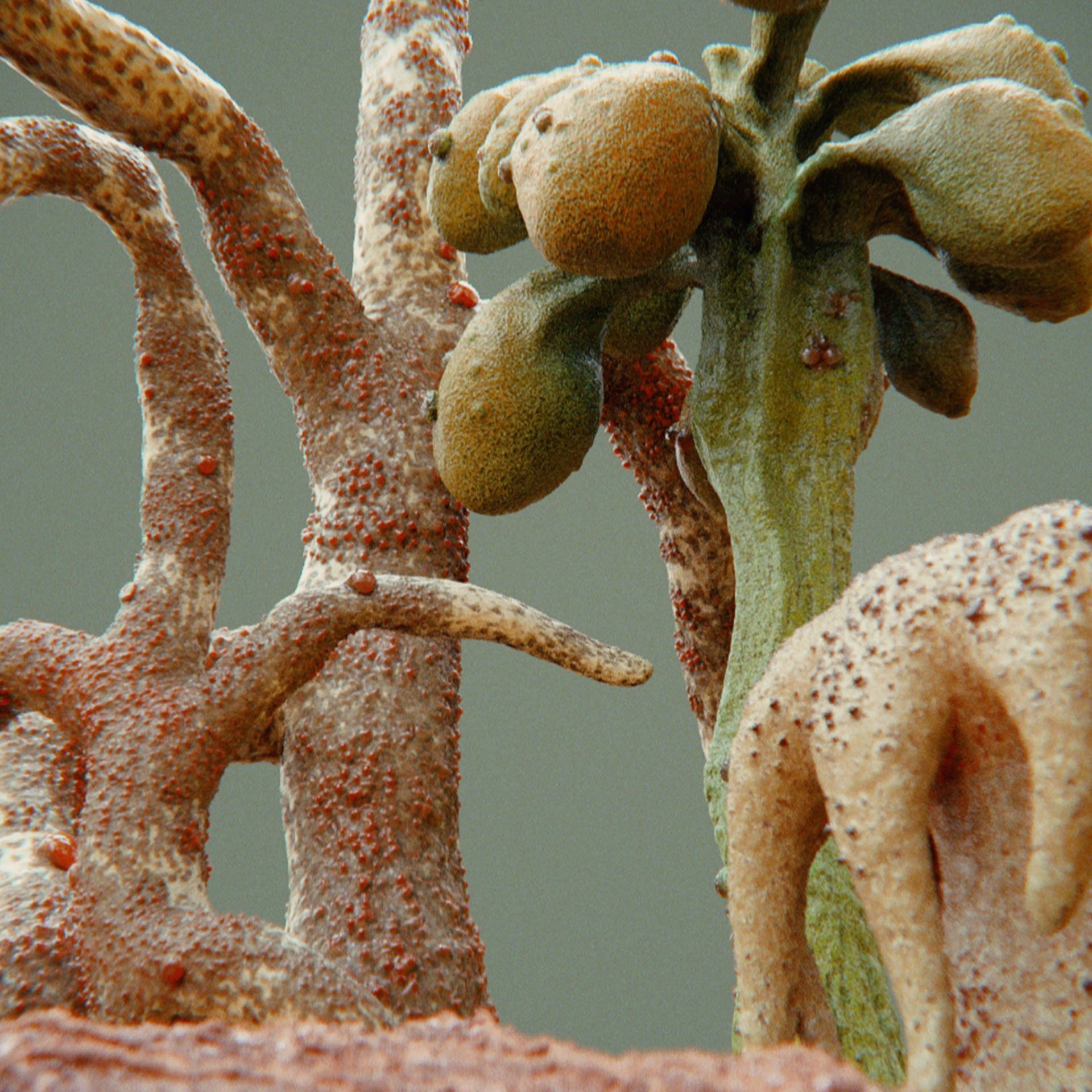 SYMBIOSIS — Flora — trees, composition 3: the world of the SYMBIOSIS VR performance: creatures, characters and flora, character design by Roberto Digiglio