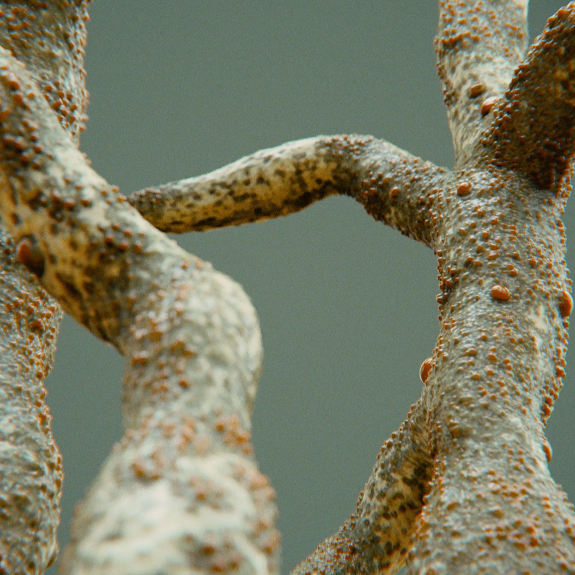 SYMBIOSIS — Flora — tree 2, variation 3: the world of the SYMBIOSIS VR performance: creatures, characters and flora, character design by Roberto Digiglio