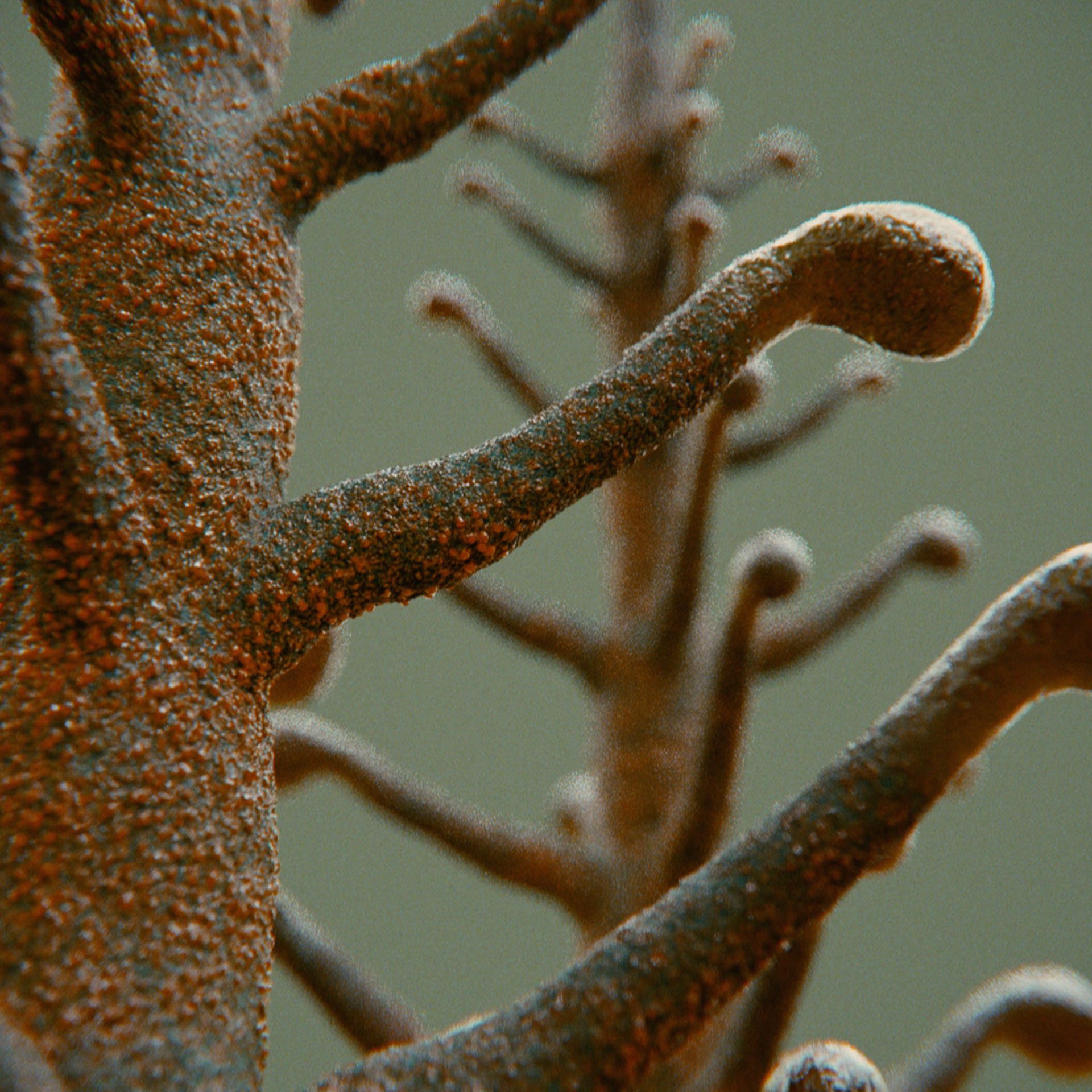 SYMBIOSIS — Flora — tree 4, variation 2: the world of the SYMBIOSIS VR performance: creatures, characters and flora, character design by Roberto Digiglio