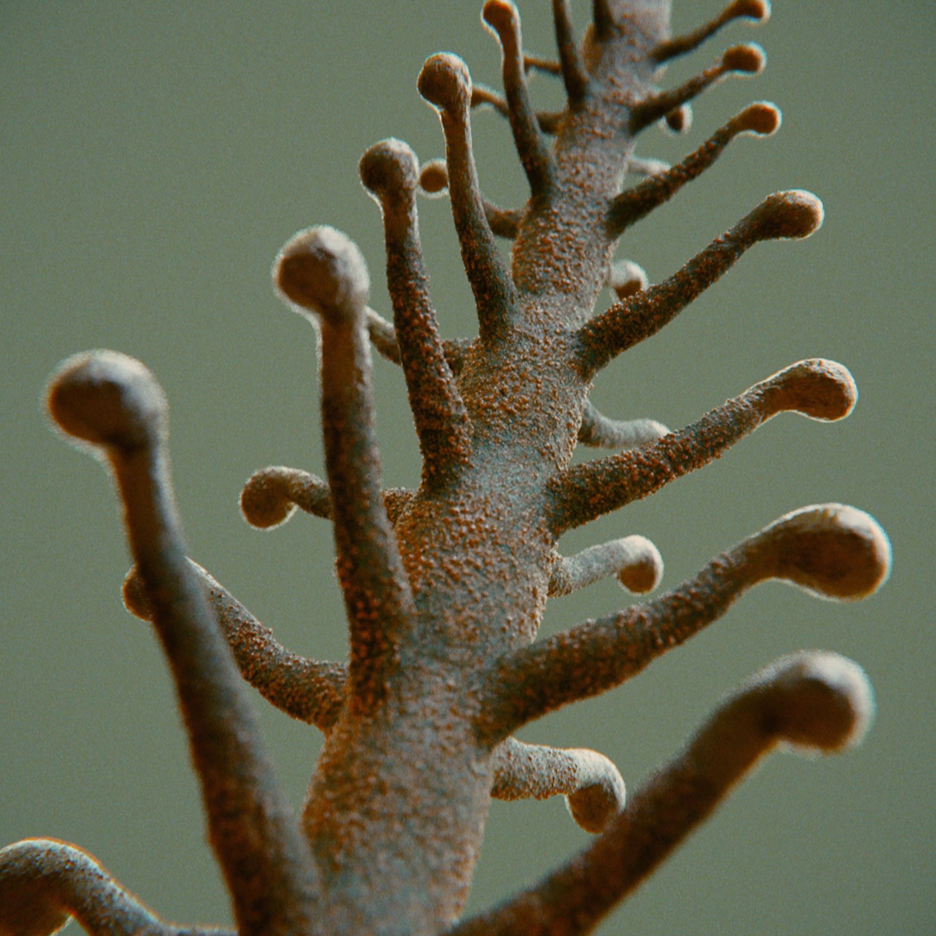 SYMBIOSIS — Flora — tree 4, variation 3: the world of the SYMBIOSIS VR performance: creatures, characters and flora, character design by Roberto Digiglio
