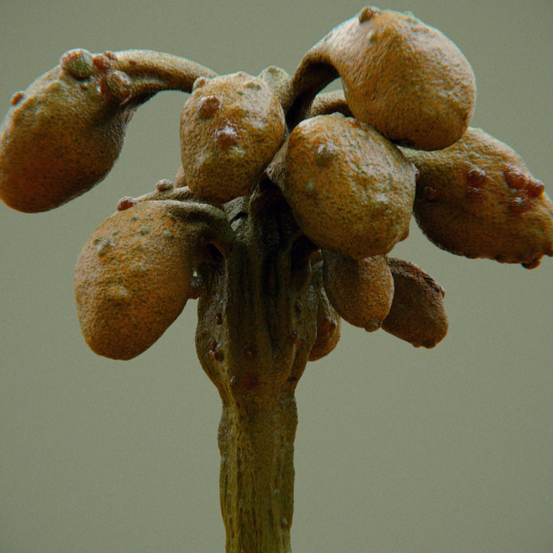 SYMBIOSIS — Flora — tree 5, variation 3: the world of the SYMBIOSIS VR performance: creatures, characters and flora, character design by Roberto Digiglio