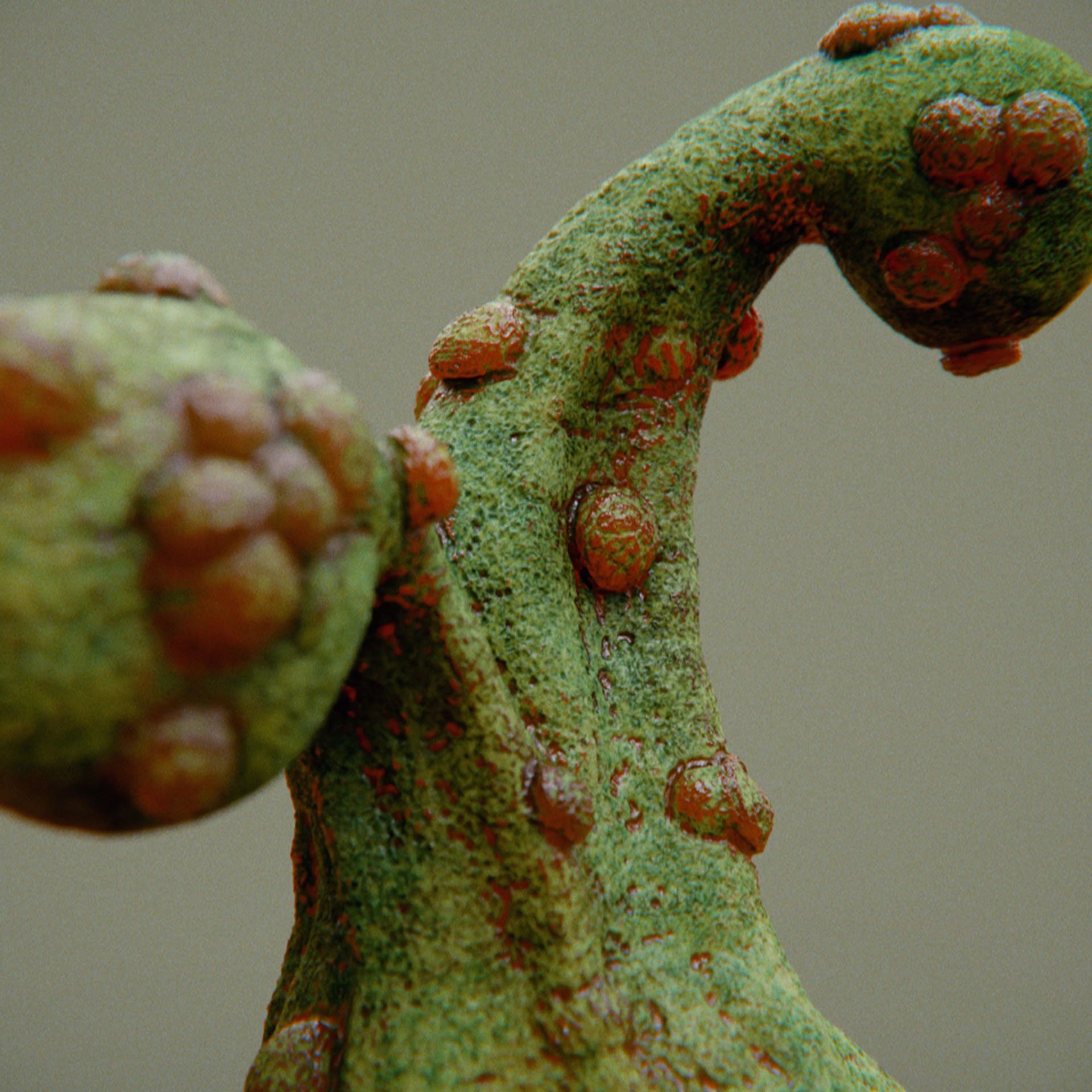 SYMBIOSIS — Flora — shrub 3, variation 1: the world of the SYMBIOSIS VR performance: creatures, characters and flora, character design by Roberto Digiglio