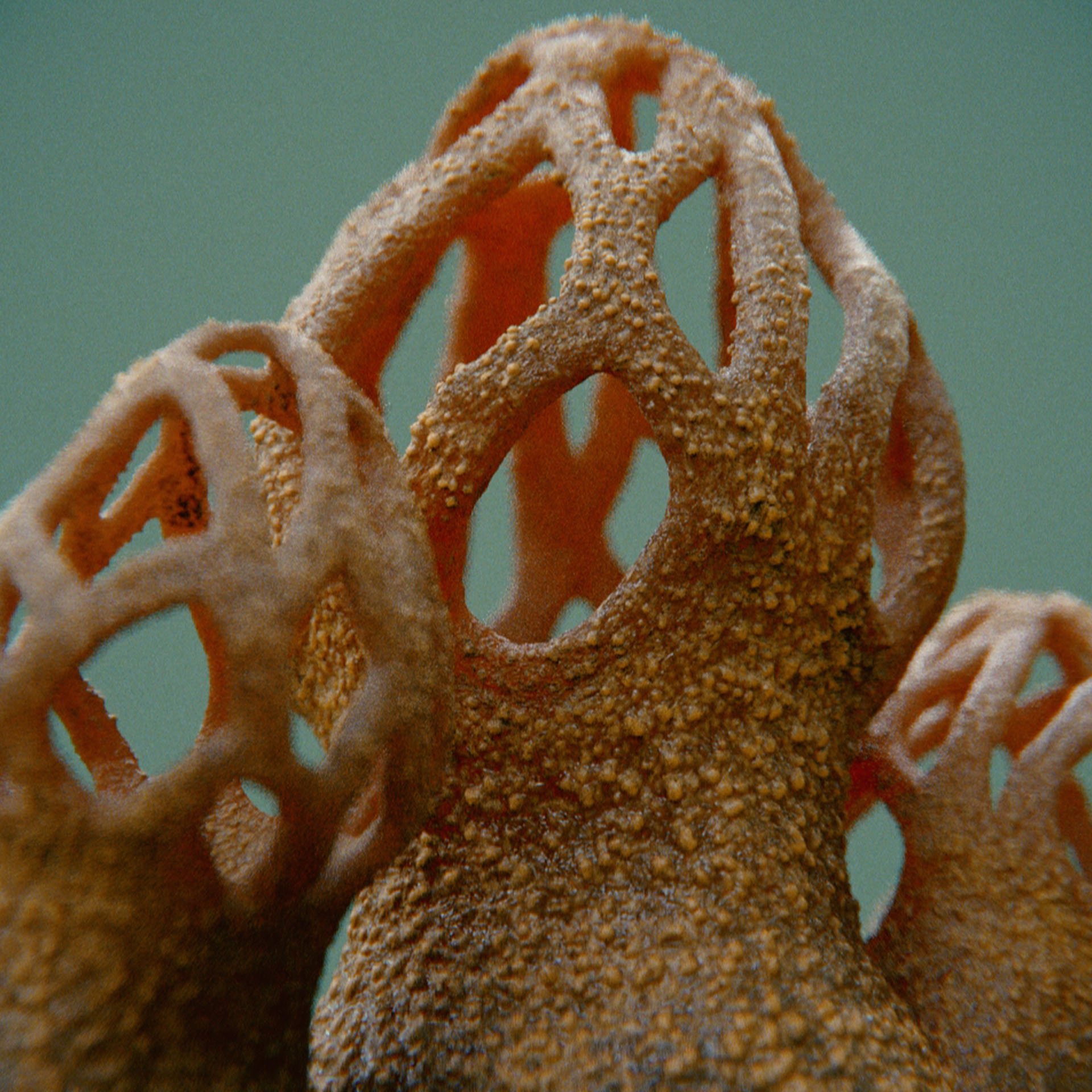 SYMBIOSIS — Flora — mushroom 2, variation 2: the world of the SYMBIOSIS VR performance: creatures, characters and flora, character design by Roberto Digiglio