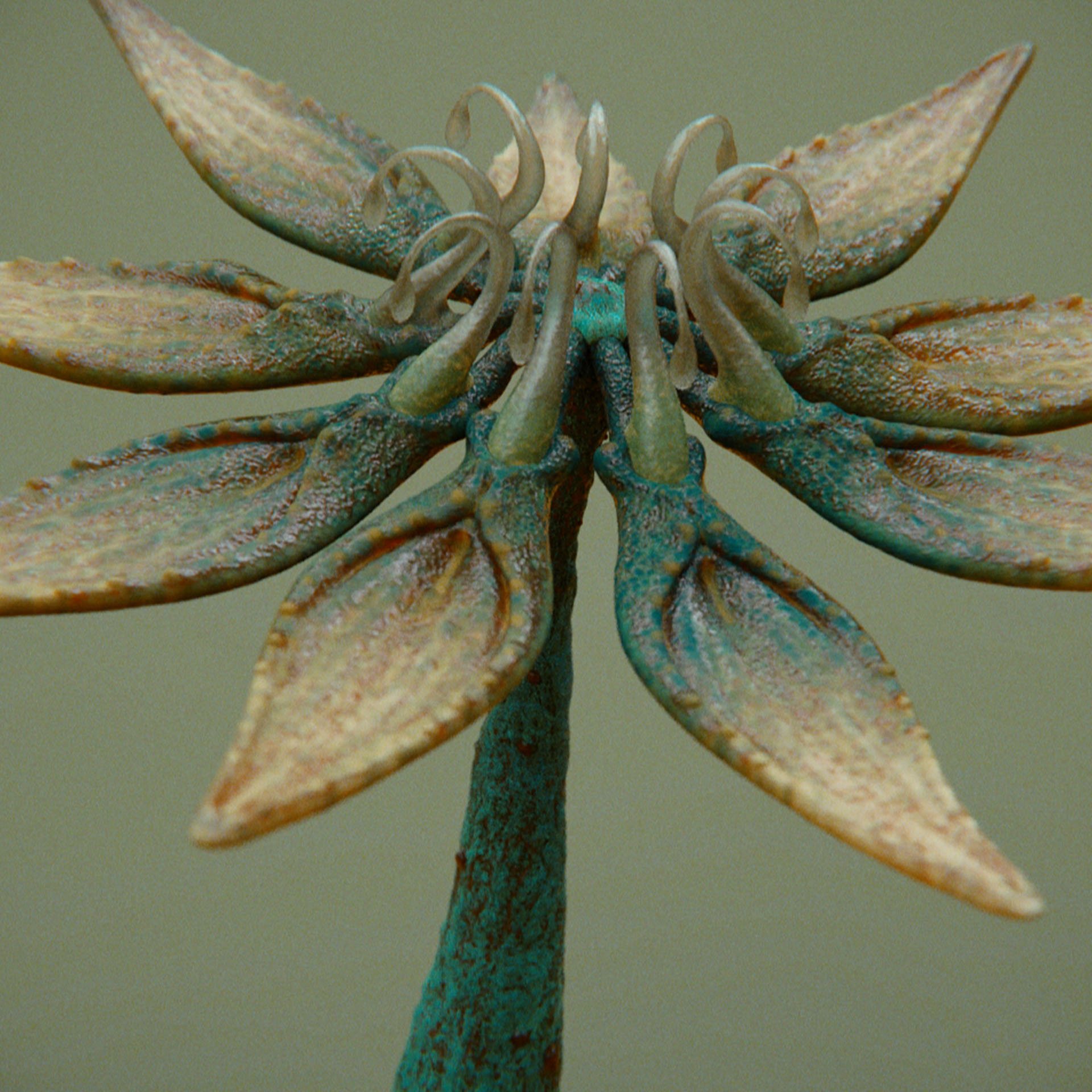 SYMBIOSIS — Flora — flower 1, variation 1: the world of the SYMBIOSIS VR performance: creatures, characters and flora, character design by Roberto Digiglio