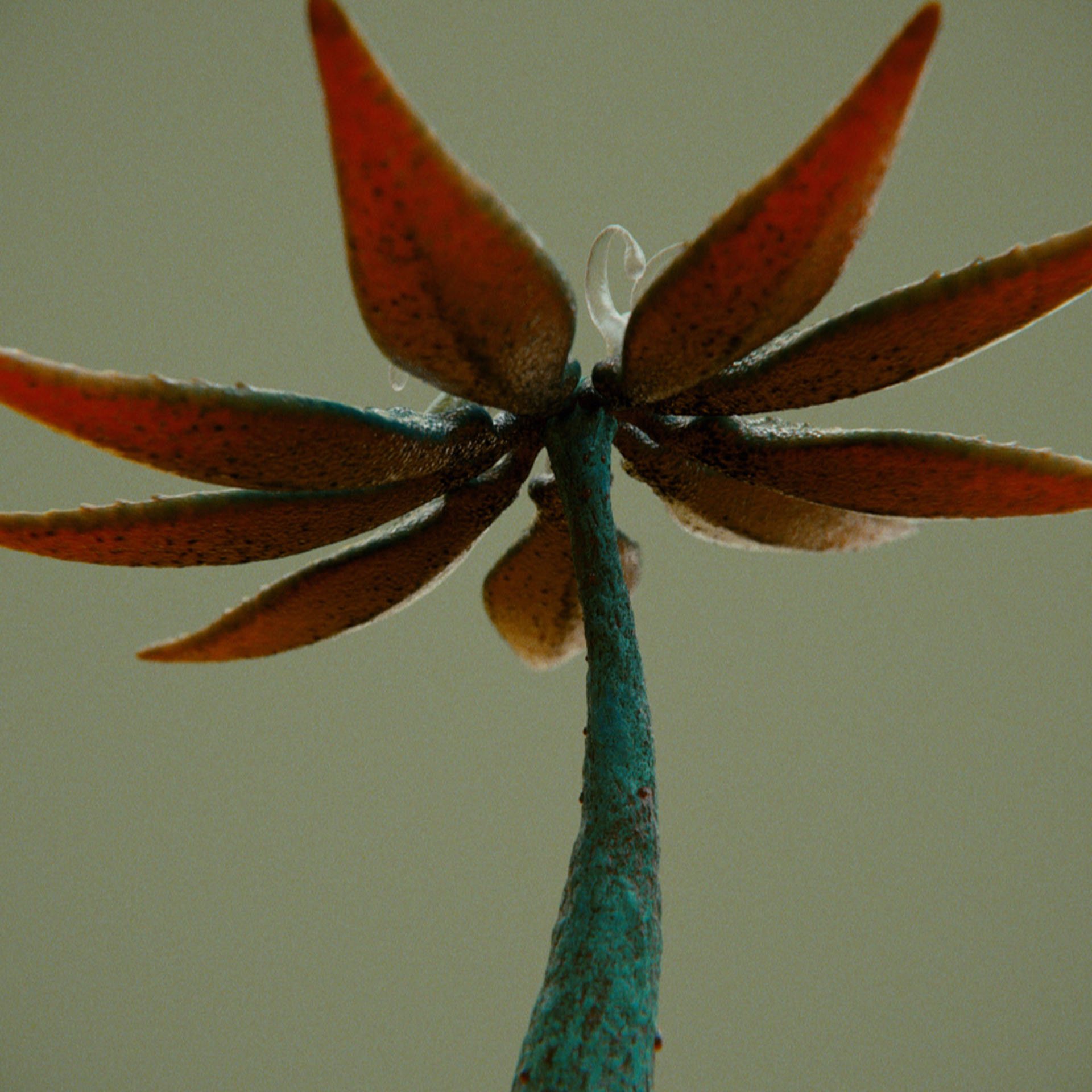 SYMBIOSIS — Flora — flower 1, variation 2: the world of the SYMBIOSIS VR performance: creatures, characters and flora, character design by Roberto Digiglio