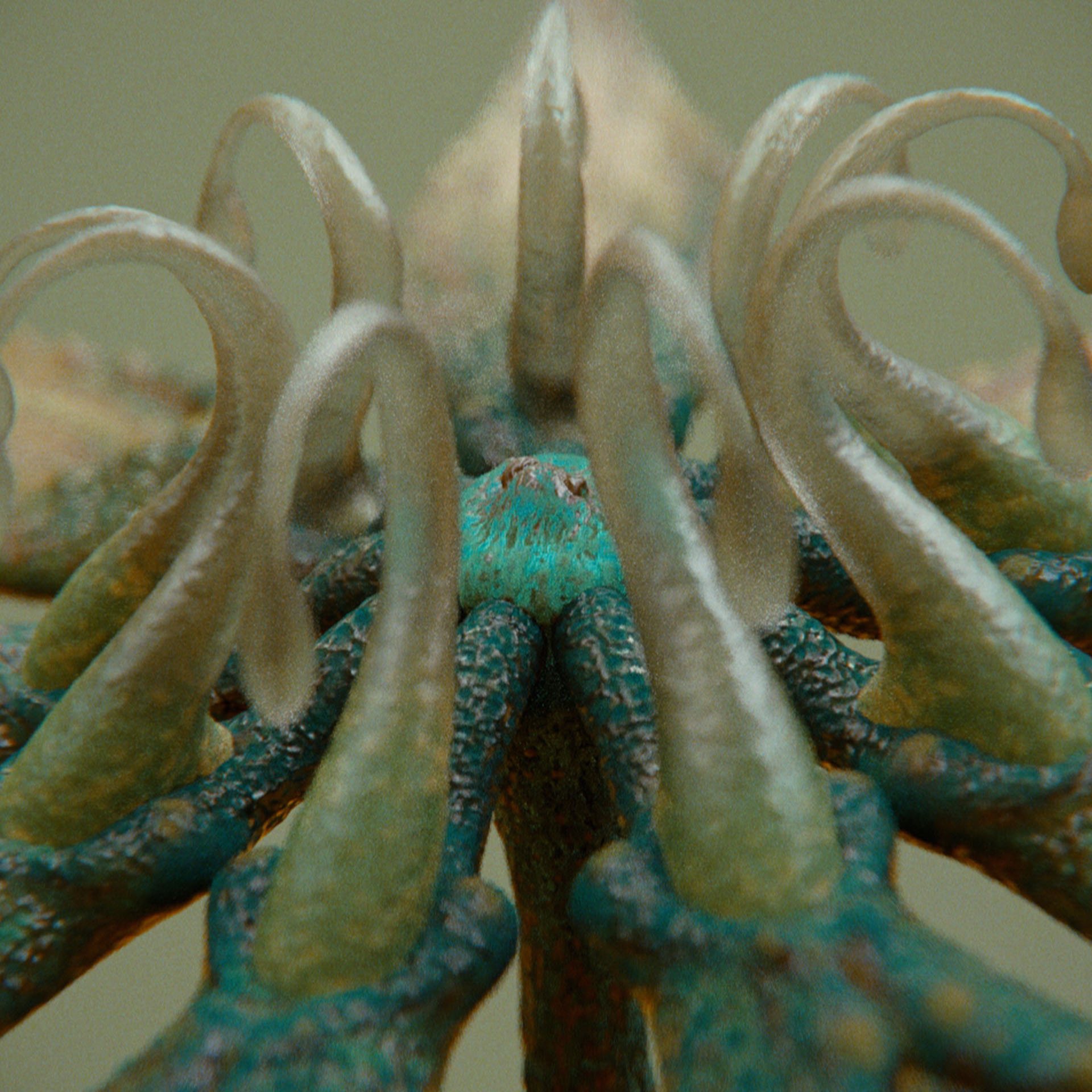 SYMBIOSIS — Flora — flower 1, variation 3: the world of the SYMBIOSIS VR performance: creatures, characters and flora, character design by Roberto Digiglio
