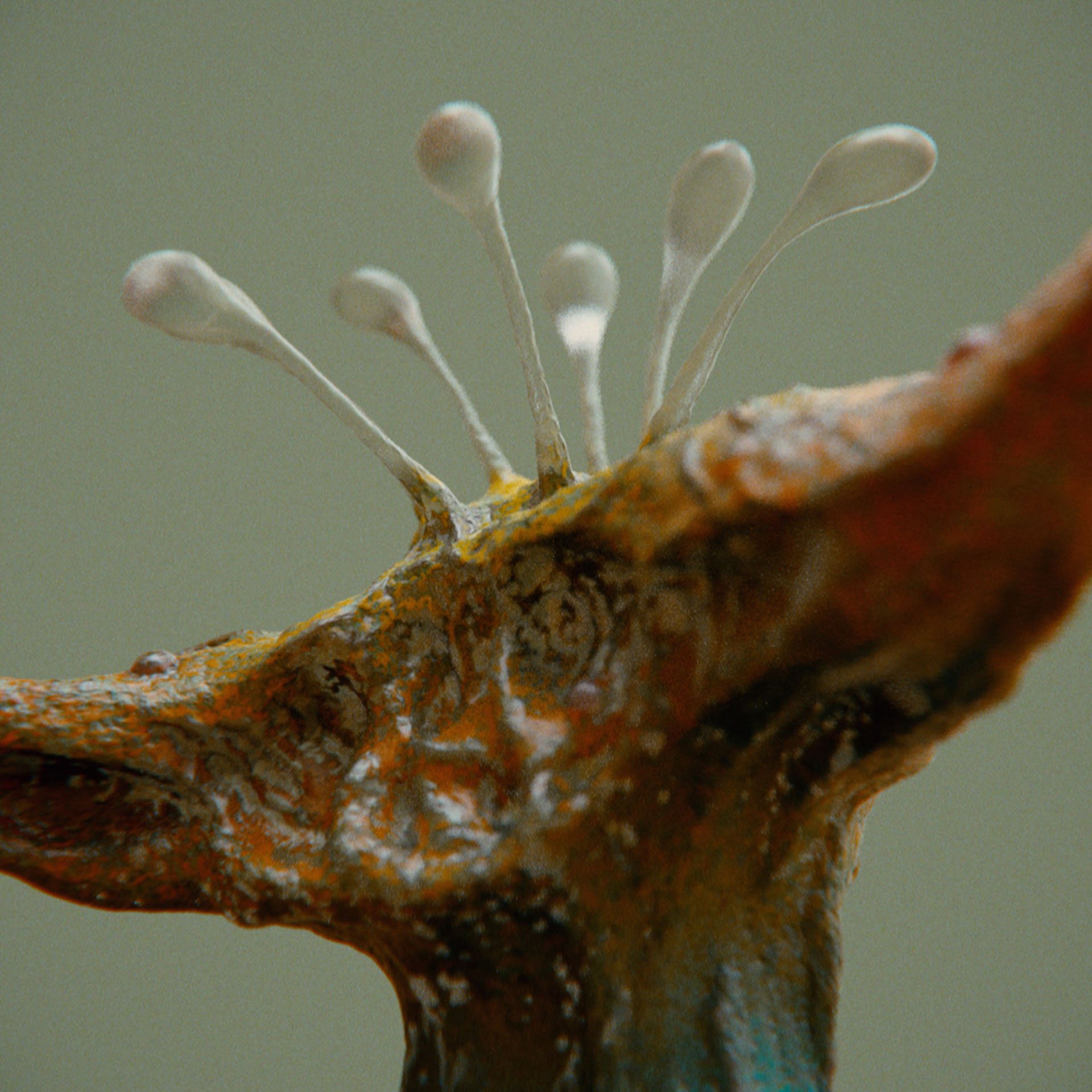 SYMBIOSIS — Flora — flower 3, variation 2: the world of the SYMBIOSIS VR performance: creatures, characters and flora, character design by Roberto Digiglio