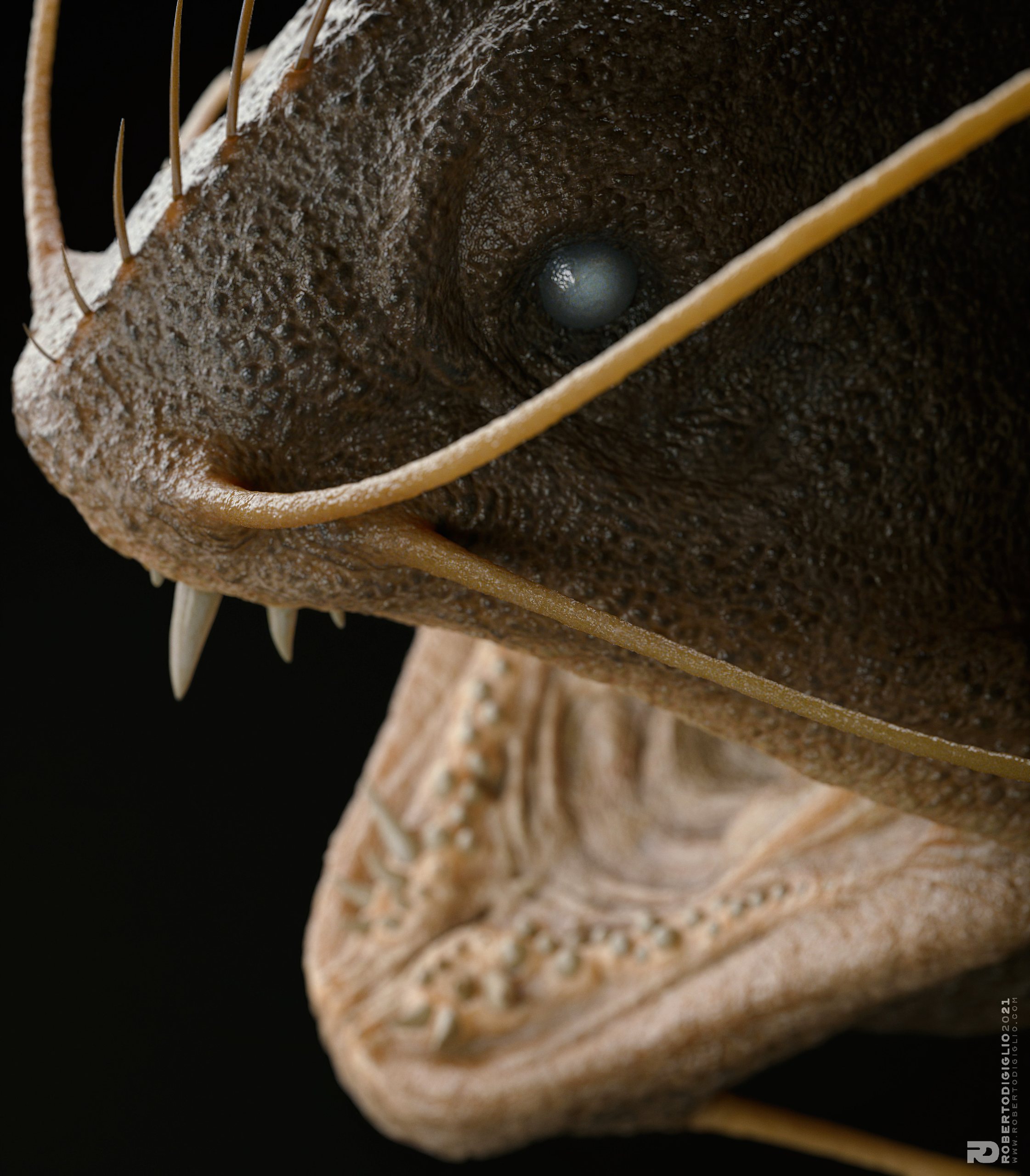 Teeth — image 5: a fictional fish inspired by fish taxidermy, creature design by Roberto Digiglio