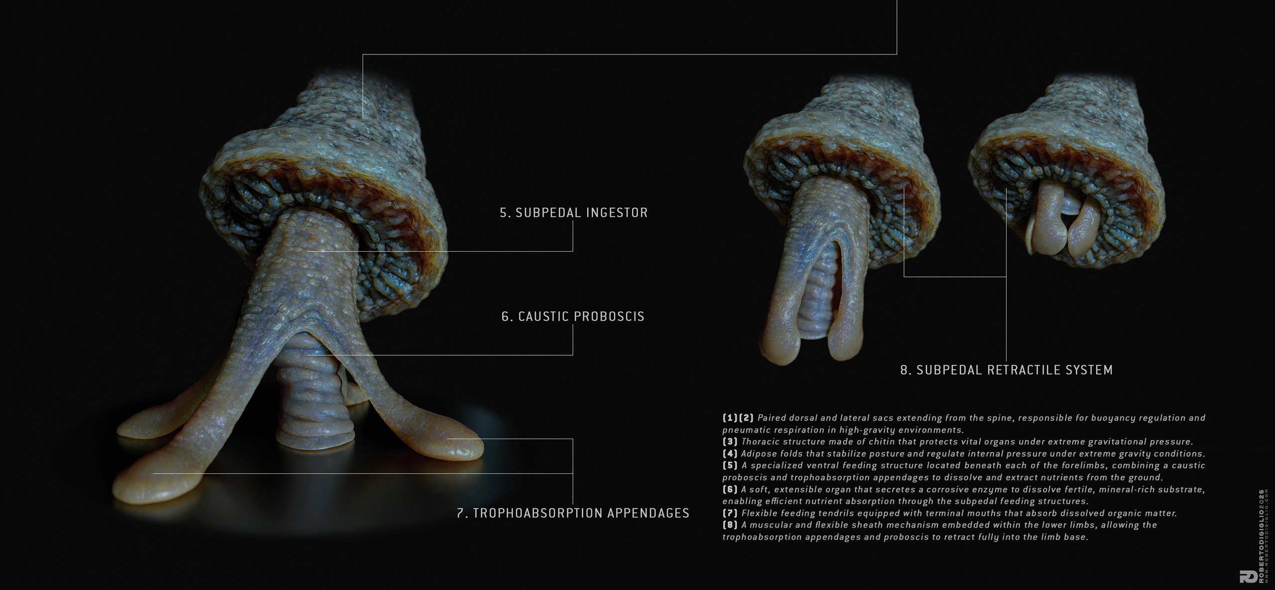 Terragaster Lithovore — Anatomy callouts 9: a large alien organism adapted to extreme gravity, creature design by Roberto Digiglio