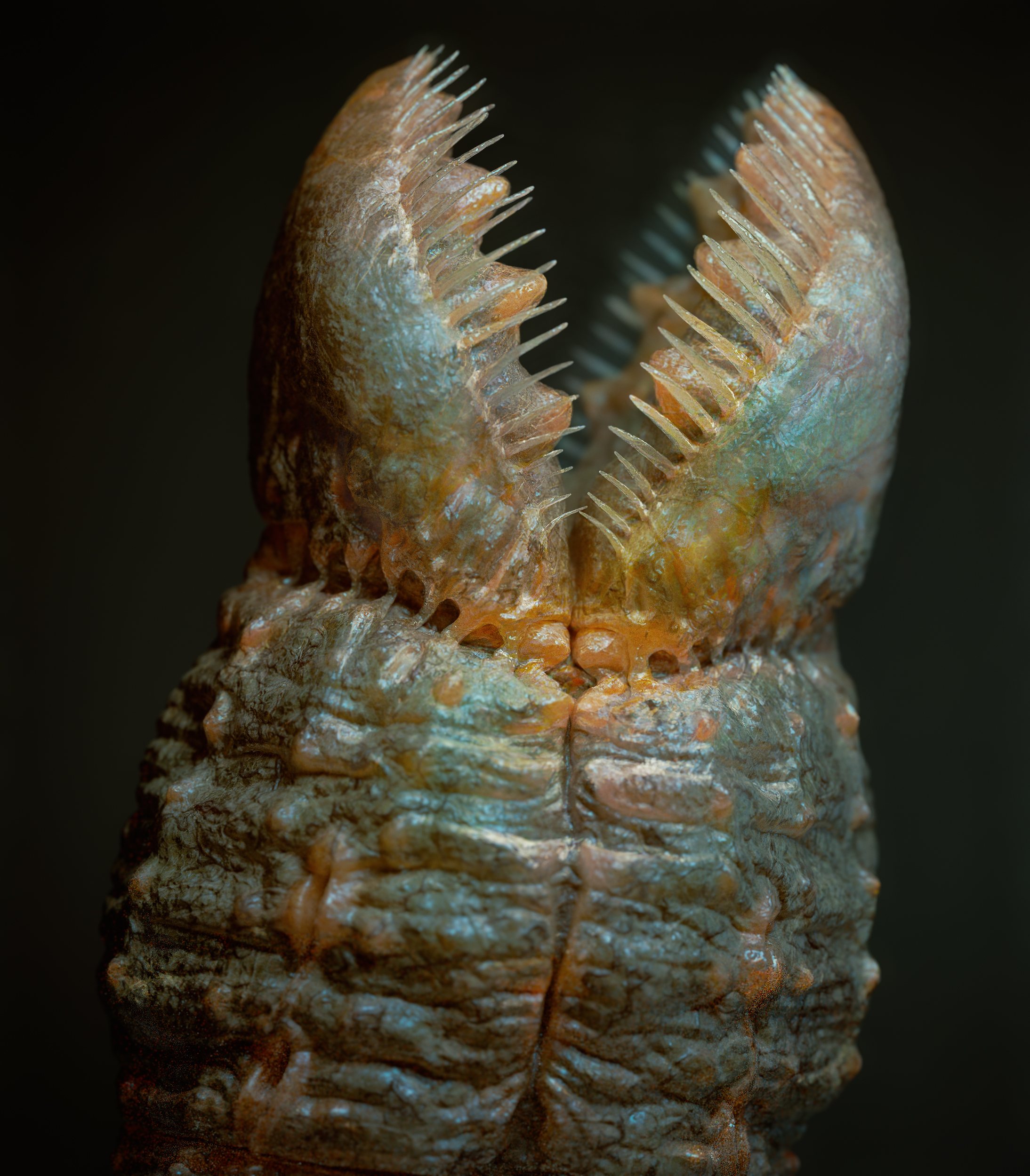 Creature study by Roberto Digiglio
